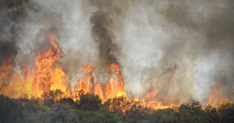 incendio en Quillón, fotografía referencial.