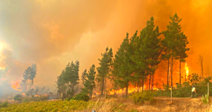 Cientos de predios han sido quemados por las llamas. Foto: Carabineros Ñuble
