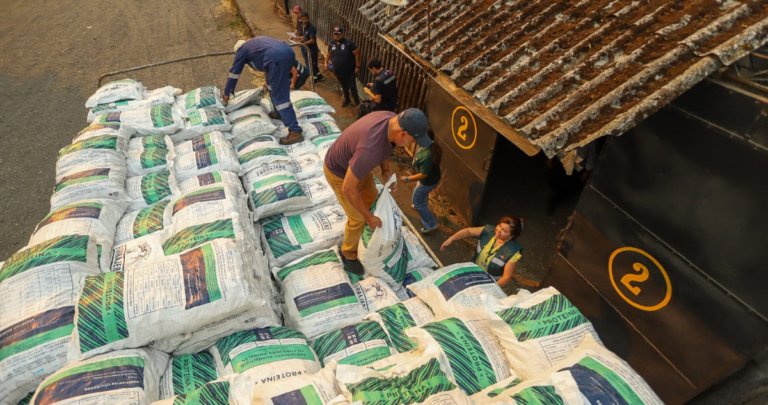 Cientos de productos agrícolas ya han sido descargados en Ñuble.