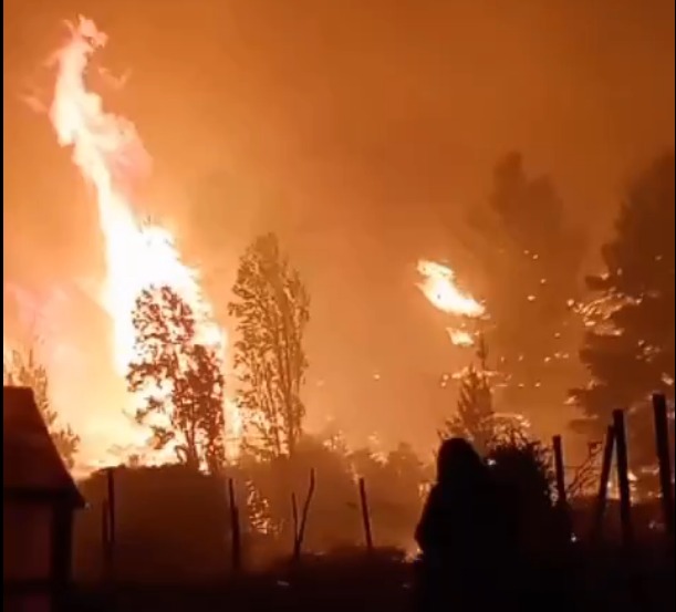 Incendio forestal que azotó a Ninhue. Febrero de 2022.