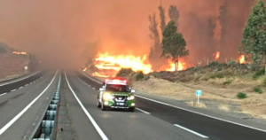 Así luce la ruta. Fotografía: Carabineros Ñuble