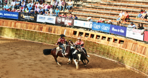 Campeonato Nacional de Rodeo 2016. Foto: Marco Antonio Correa Flores, de Wikimedia.