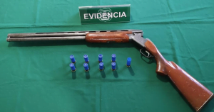 El arma y las municiones incautadas. Foto: Carabineros Ñuble.