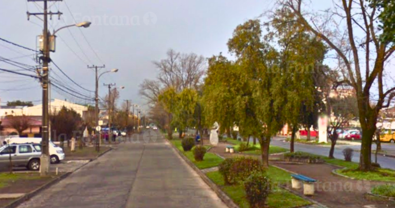 Un tramo de avenida Argentina, en Chillán. Foto: Street View.