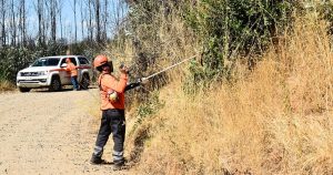 Despejaron 171 kilómetros de caminos para prevención de incendios en Ñuble.