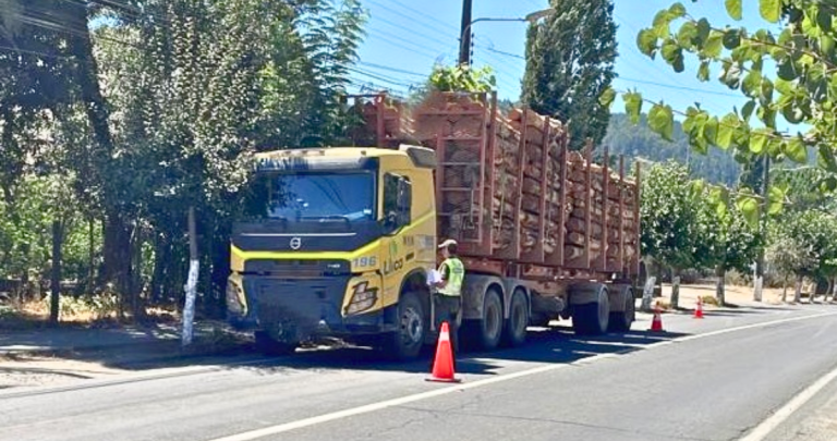 El camión con la carga no registrada. Foto: Carabineros Ñuble.