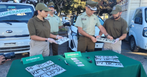 La policía exhibiendo las patentes de los vehículos incautados. Foto: Carabineros Ñuble.