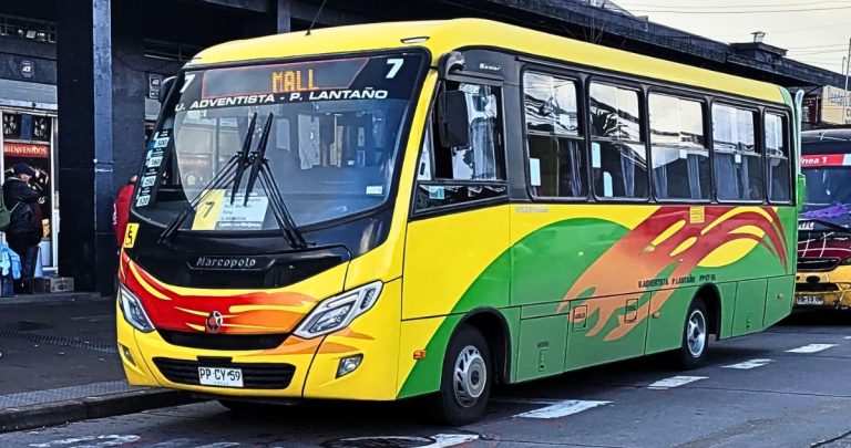 El bus realizará 8 viajes diarios.