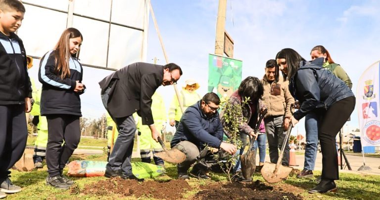 Las más de 900 especies se instalará en Rucapequén. Foto: Municipalidad de Chillán Viejo