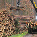 Industria forestal. Fotografía de contexto: Unsplash.
