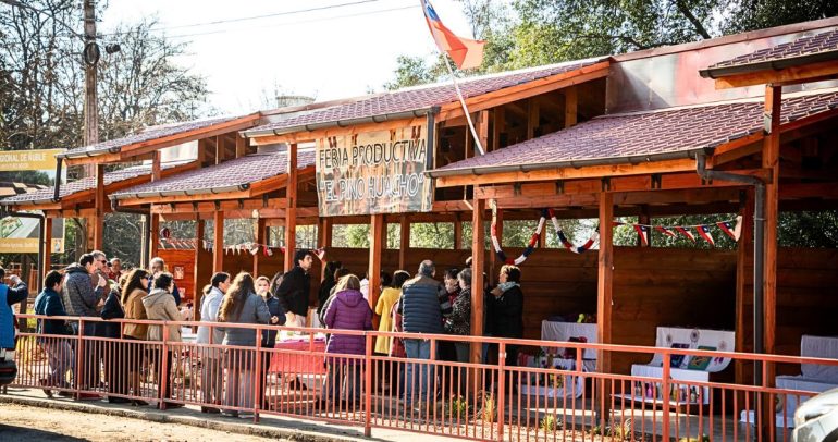 10 fueron los puestos de venta inaugurados en Ránquil. Foto: Gobierno Regional