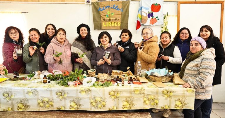 Los talleres se realizaron en el pasado trimestre. Foto: Municipalidad de Chillán Viejo