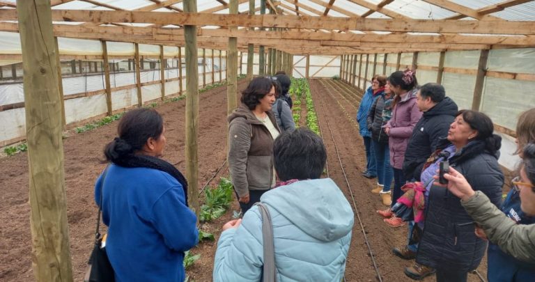 20 mujeres son las beneficiadas con este proyecto. Foto: Ministerio de Agricultura