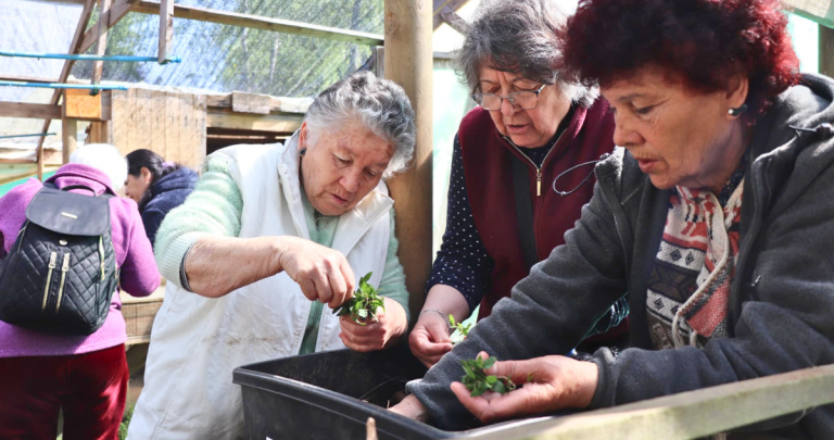 28 personas participaron del programa. Foto: Segegob Ñuble.