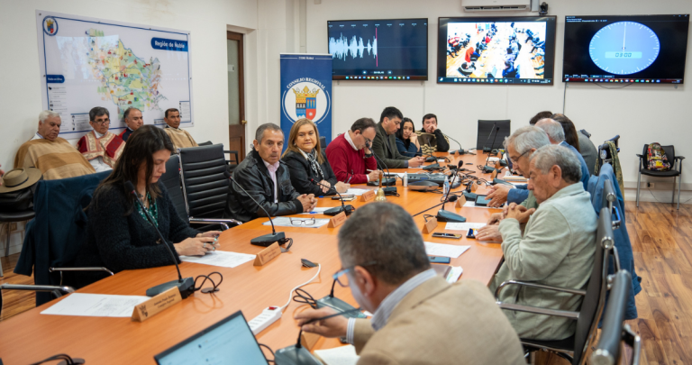 Sesión del Consejo Regional donde se aprobó el financiamiento. Foto: GORE Ñuble.