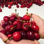 El proyecto será desarrollado por la empresa New Day Fruits (NDF). Foto: INIA