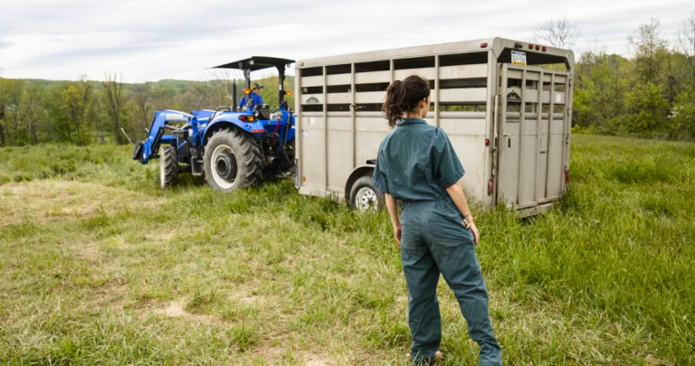 Trabajo agrícola. | Foto de referencia: Unsplash.