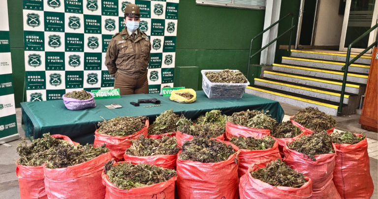 La incautación de cannabis lidera las cifras. Foto: Carabineros Ñuble.