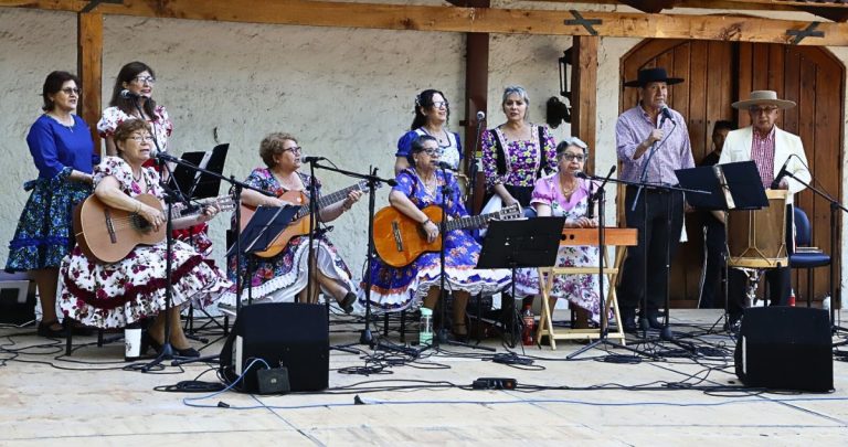 El evento reunió a familias y público general. Foto: Municipalidad de Chillán Viejo