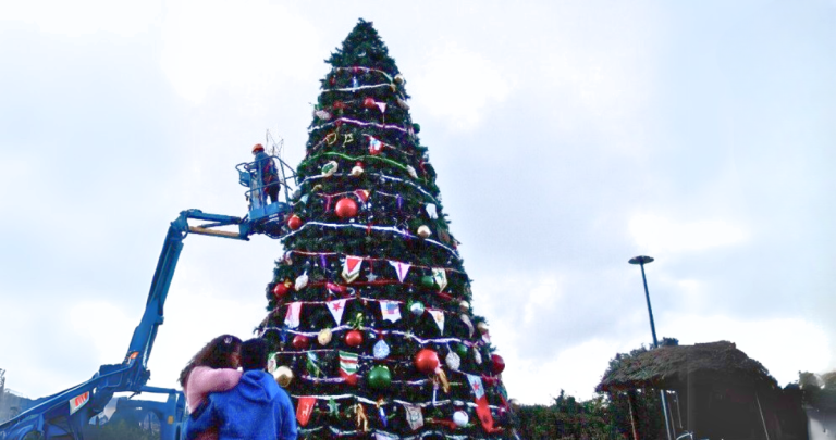 Así ha lucido el árbol en años anteriores. Foto: Municipio.