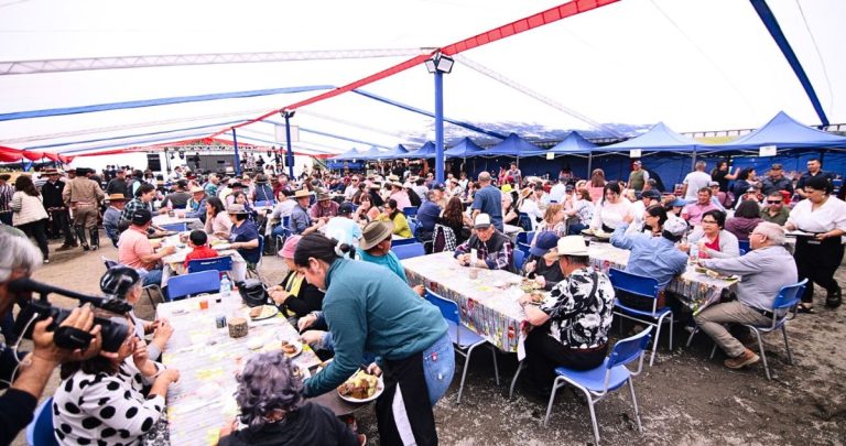 El evento contó con una veintena de stands que ofrecieron productos locales. Foto: Municipalidad de Quillón