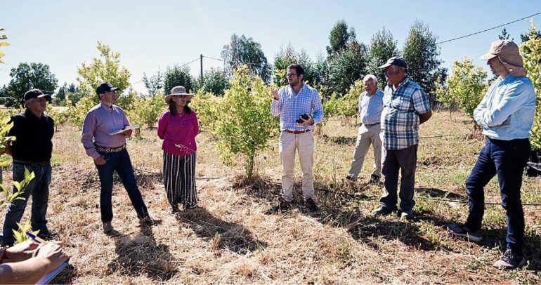 Se entregaron asesorías técnicas personalizadas y productos como estimuladores biológicos de crecimiento. Foto: INIA Quilamapu