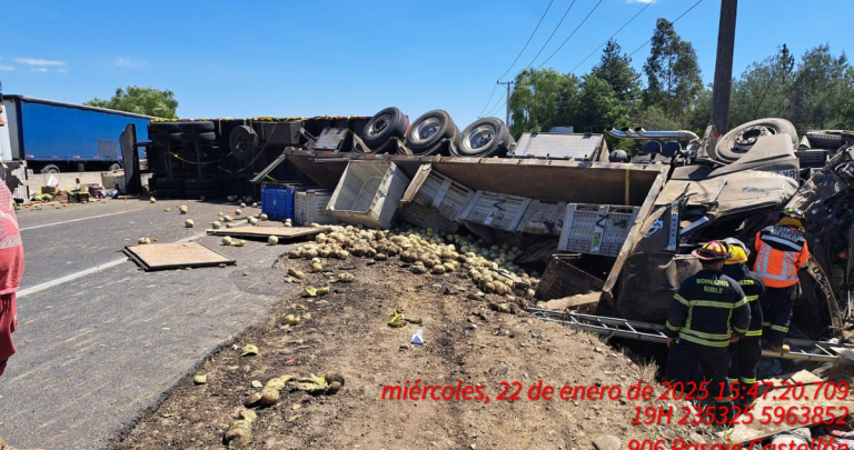 El camión involucrado iba cargado con frutas. Foto: MOP Ñuble