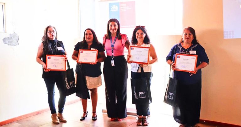 El programa está dirigido a mujeres cesantes o que buscan ingresar al mercado laboral. Foto: Segegob