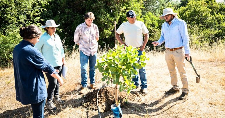 El proyecto incluye giras internacionales y estaciones meteorológicas. Foto: INIA Quilamapu