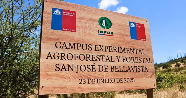 El recinto está en San Nicolás, en un terreno de 462,4 hectáreas. Foto: Instituto Forestal