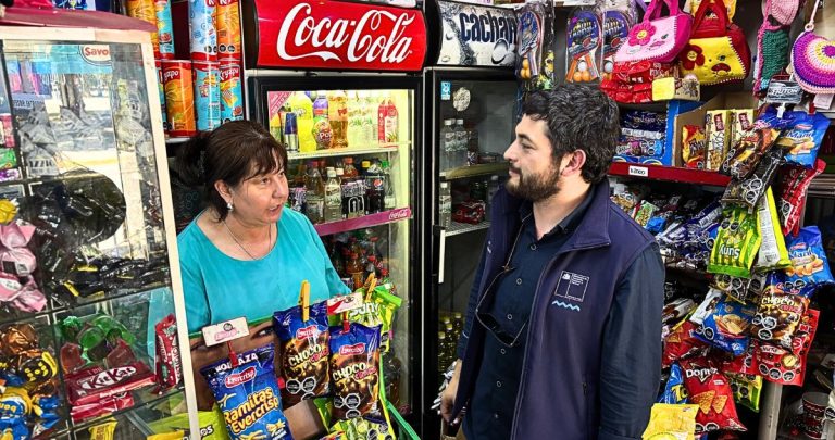 El programa financiará la digitalización de 500 negocios. Foto: Gore Ñuble