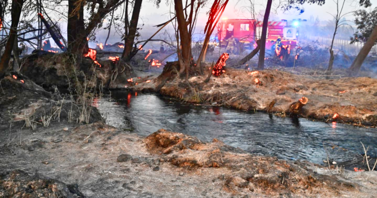 Lo que dejó el incendio Las Tagüitas. Foto: Municipio de Chillán.