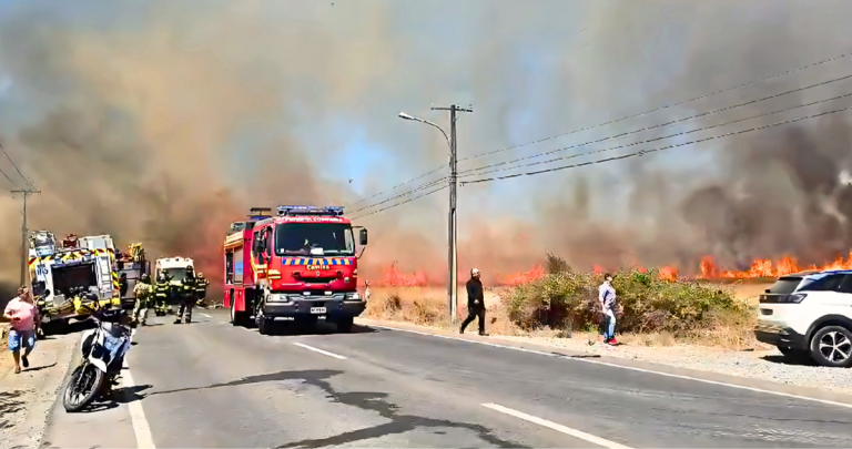 Incendio en Las Tagüitas, Coihueco. Foto: Conaf.