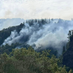 El incendio se originó el 14 de febrero. Foto: MOP Ñuble.