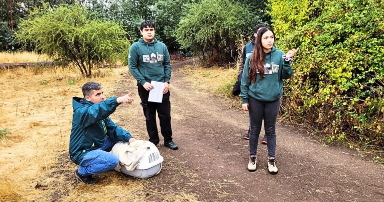 El SAG llamó a reportar animales silvestres en riesgo o con dificultades para desplazarse. Foto: SAG