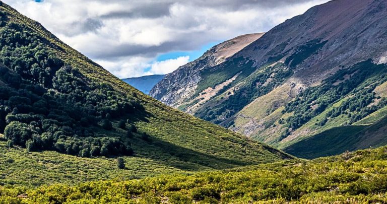 La medida regirá durante el sábado 24 y domingo 25 de mayo. Foto: Conaf