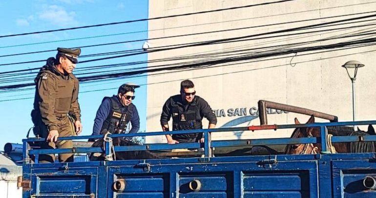 La detención fue realizada por una patrulla mixta. Foto: Municipalidad de San Carlos