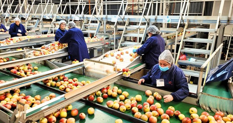 Estos controles son un requisito para el ingreso a mercados internacionales como Estados Unidos. Foto: SAG