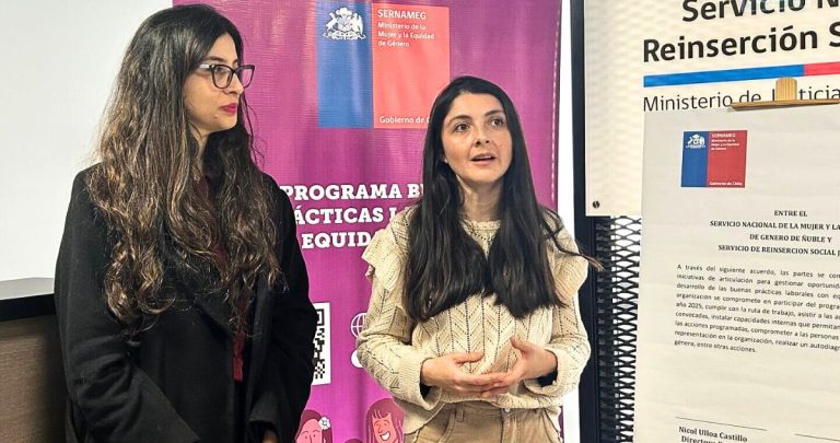 Desde su inicio en la Región de Ñuble en 2023, ocho instituciones públicas y privadas se han adherido al programa. Foto: Servicio de Reinserción Social Juvenil