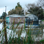 Terrenos anegados y casas inundadas es parte del escenario. Foto: Municipio.