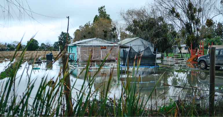 Terrenos anegados y casas inundadas es parte del escenario. Foto: Municipio.