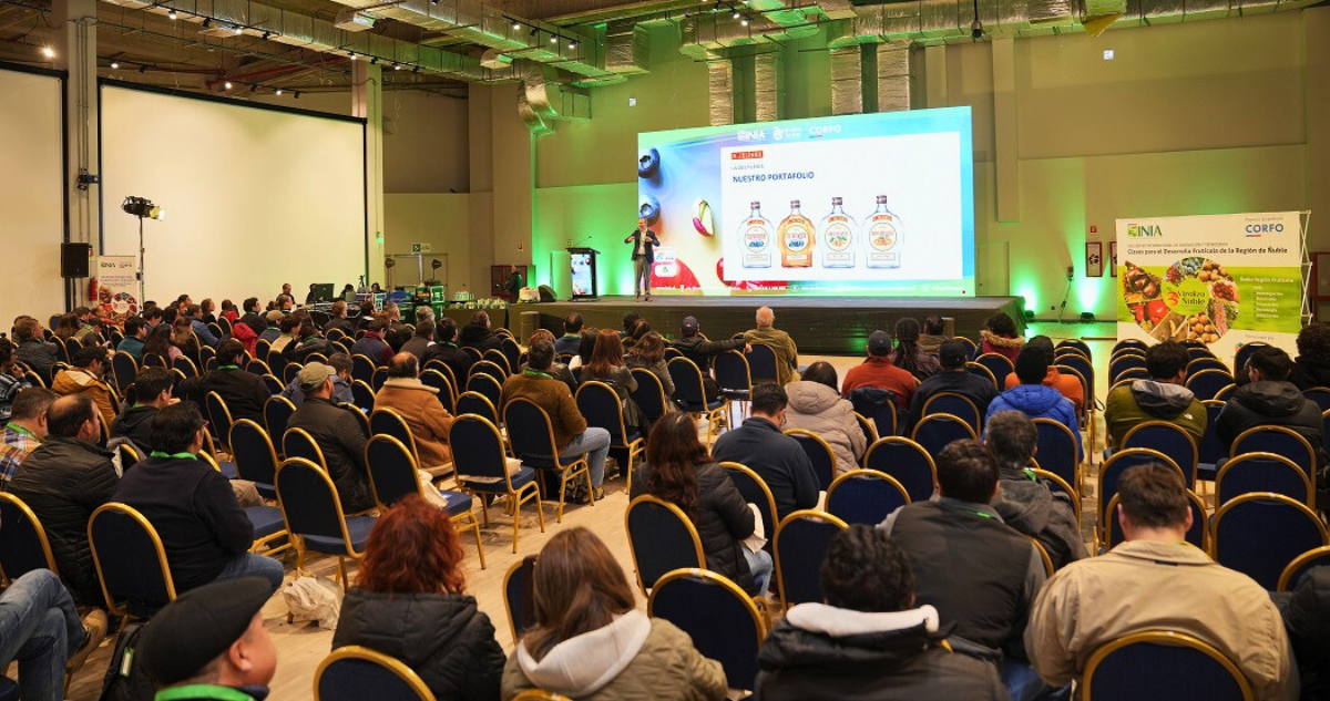 Encuentro regional reunió a 400 personas y propuso transformar a Ñuble en un polo frutícola