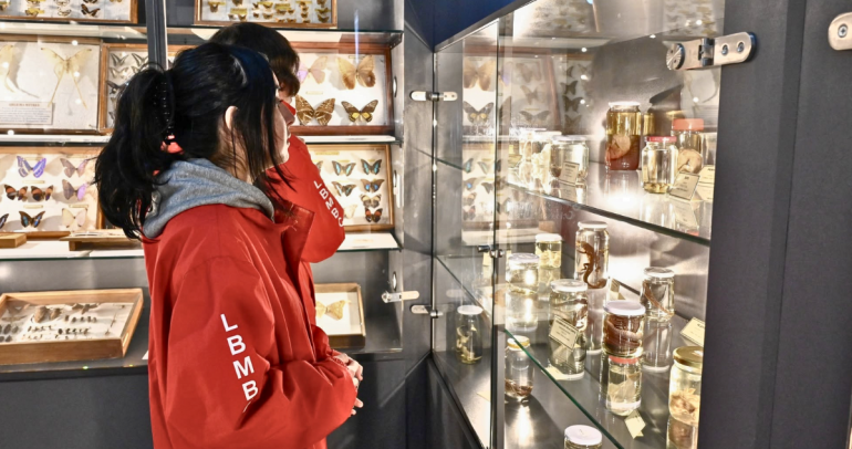 Estudiantes visitando el museo. Foto: Municipio.