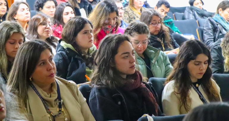 Participaron personas del área de la salud y encargadas de género de distintos servicios públicos. Foto: Segegob Ñuble