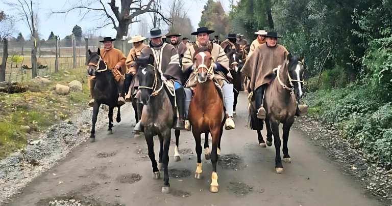 Foto: Criadores Ñuble.