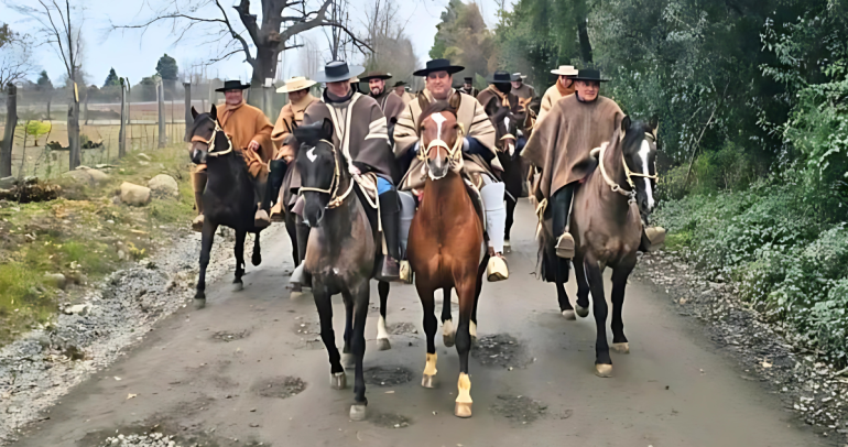 Foto: Criadores Ñuble.