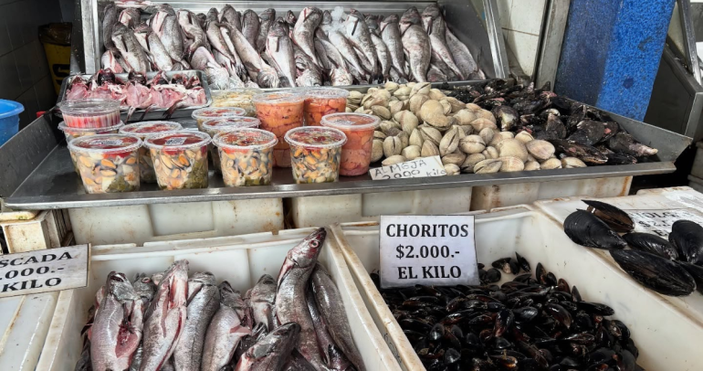 Foto: Seremi de Economía Ñuble