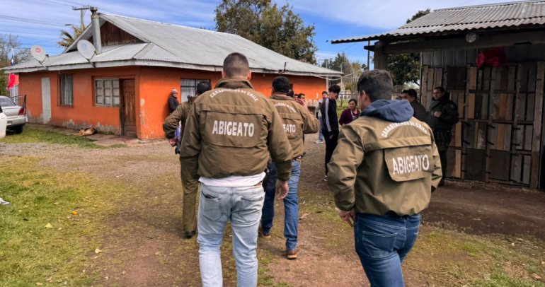 El operativo fue realizado por personal que indaga abigeato. Foto: Carabineros Ñuble.