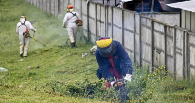 La reducción de la vegetación en sitios eriazos es otra medida. Foto: Municipio.