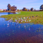 Foto: municipio